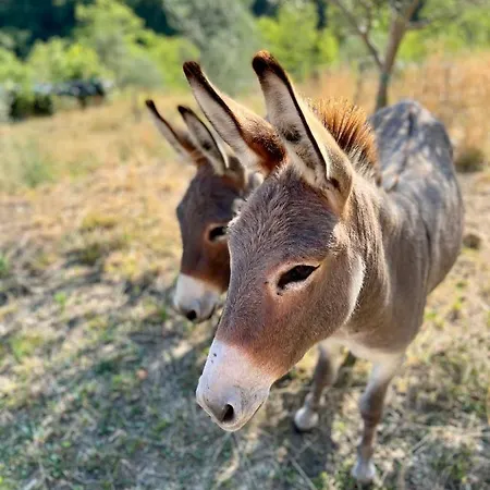 Casa Histria Šmarje