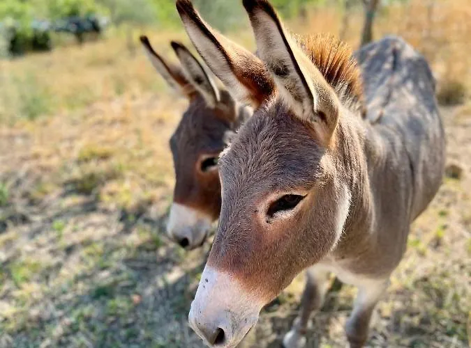 Casa Histria Šmarje